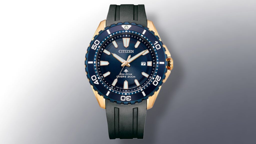 Citizen Eco-Drive Promaster Diver (BN0150-28E) 